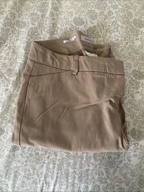 Van Heusen Taupe Wide-Leg Trousers